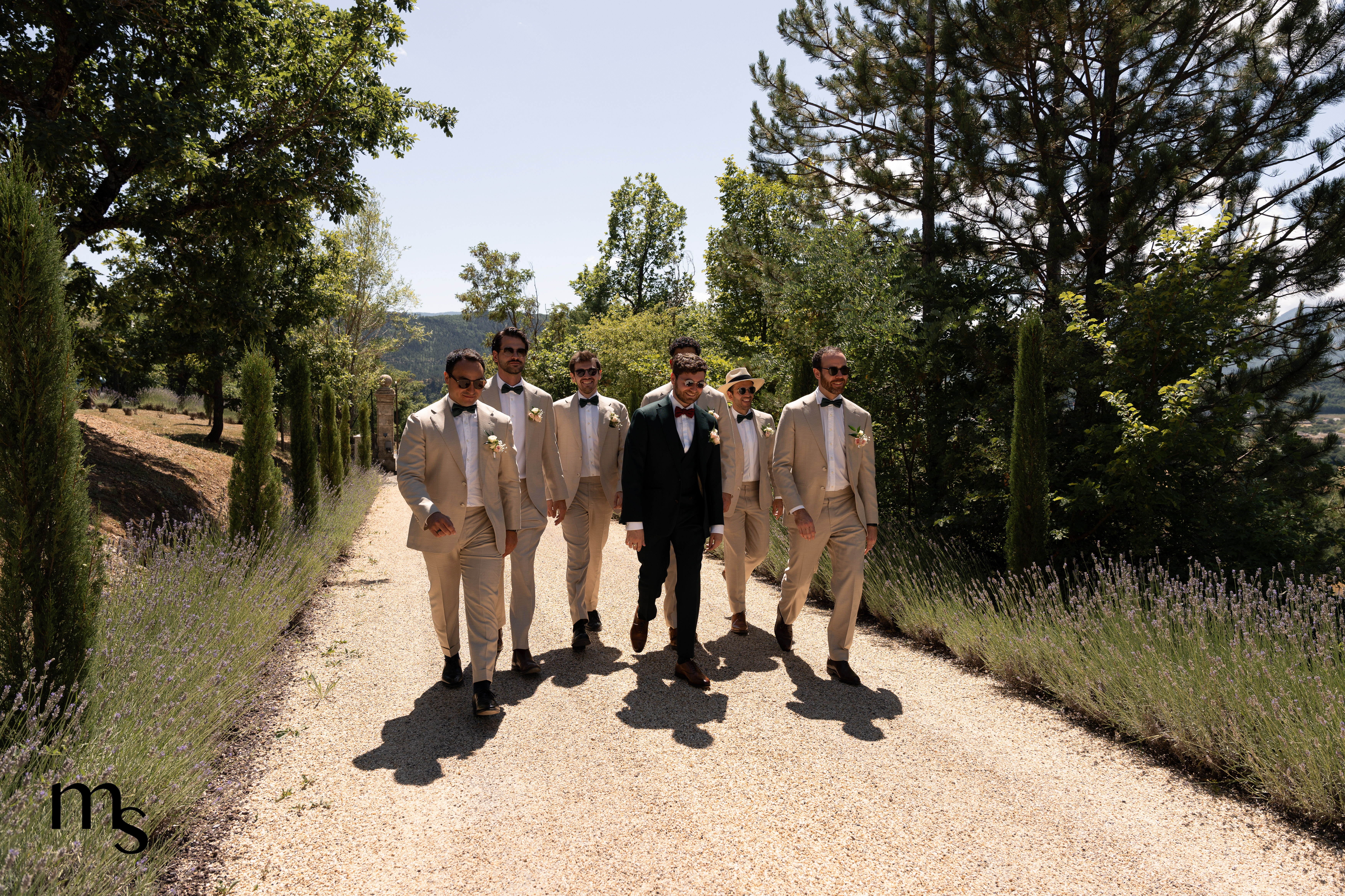 mariés et ses témoins marchant dans une allée entourée de lavande au Mas des Cinq Fontaines à Sisteron