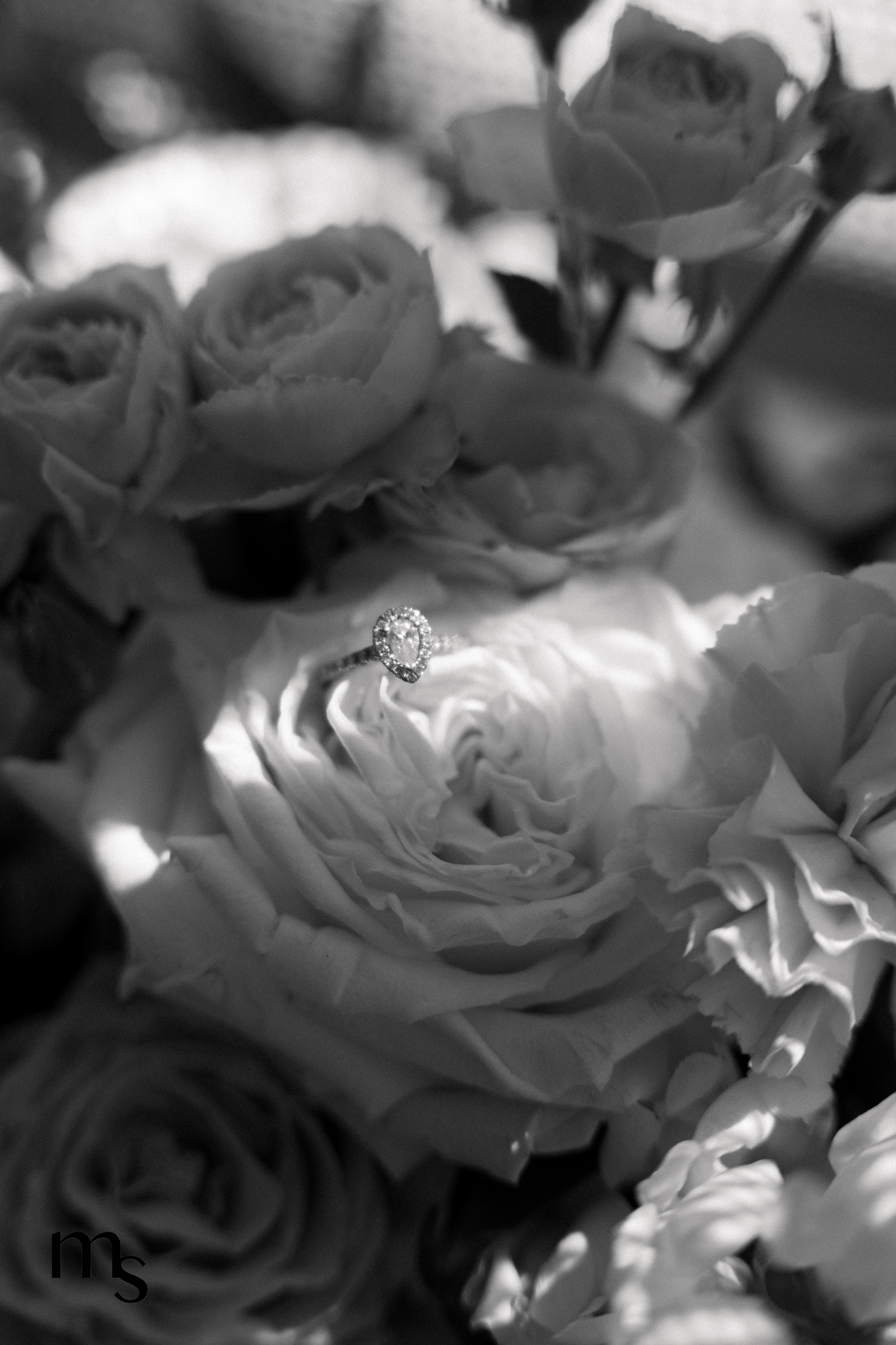 détail d'une bague de fiançailles dans une rose avec une belle lumière