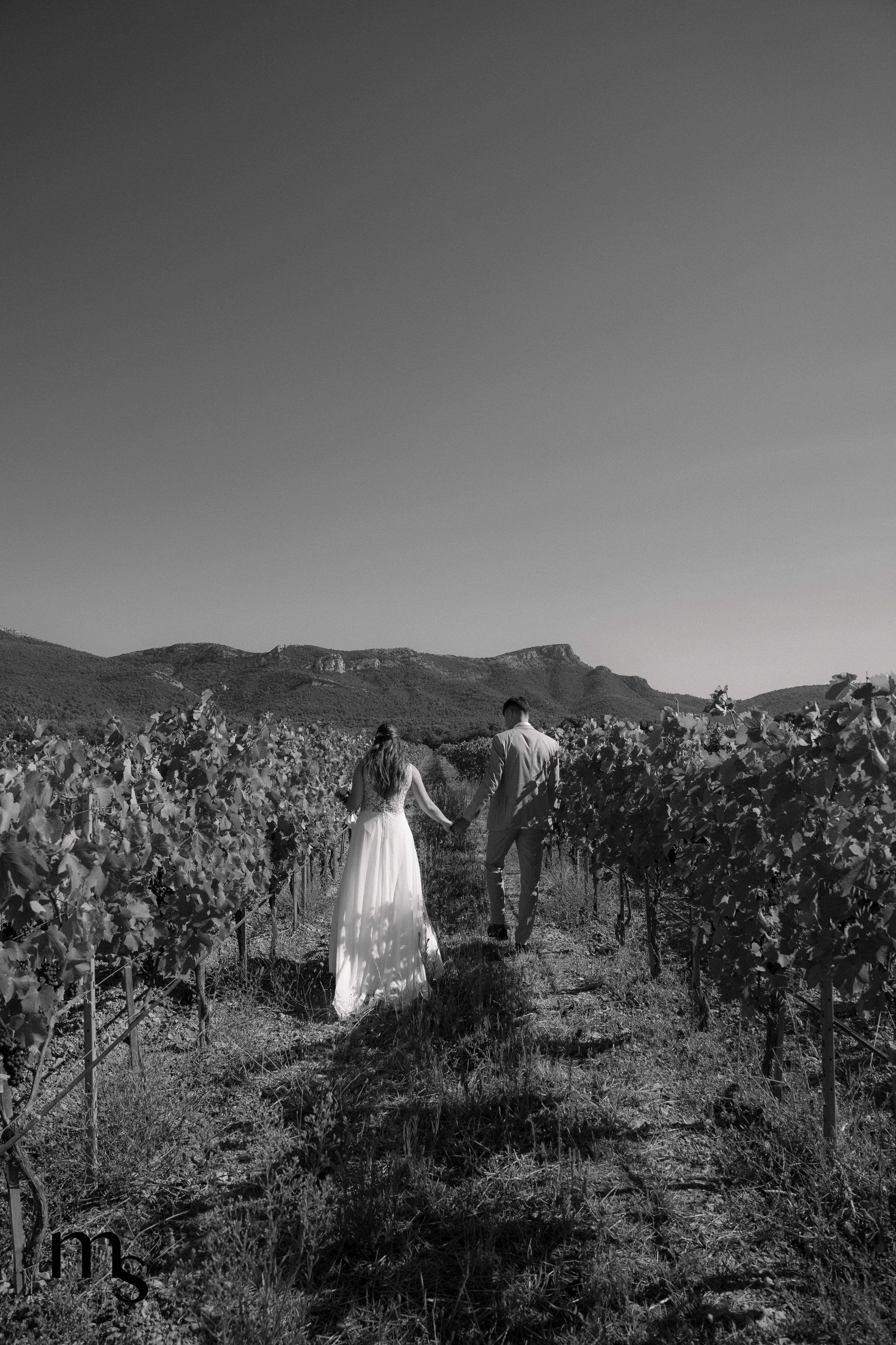 mariés se promenant dans les vignes du château de Roquefeuille, en Provence
