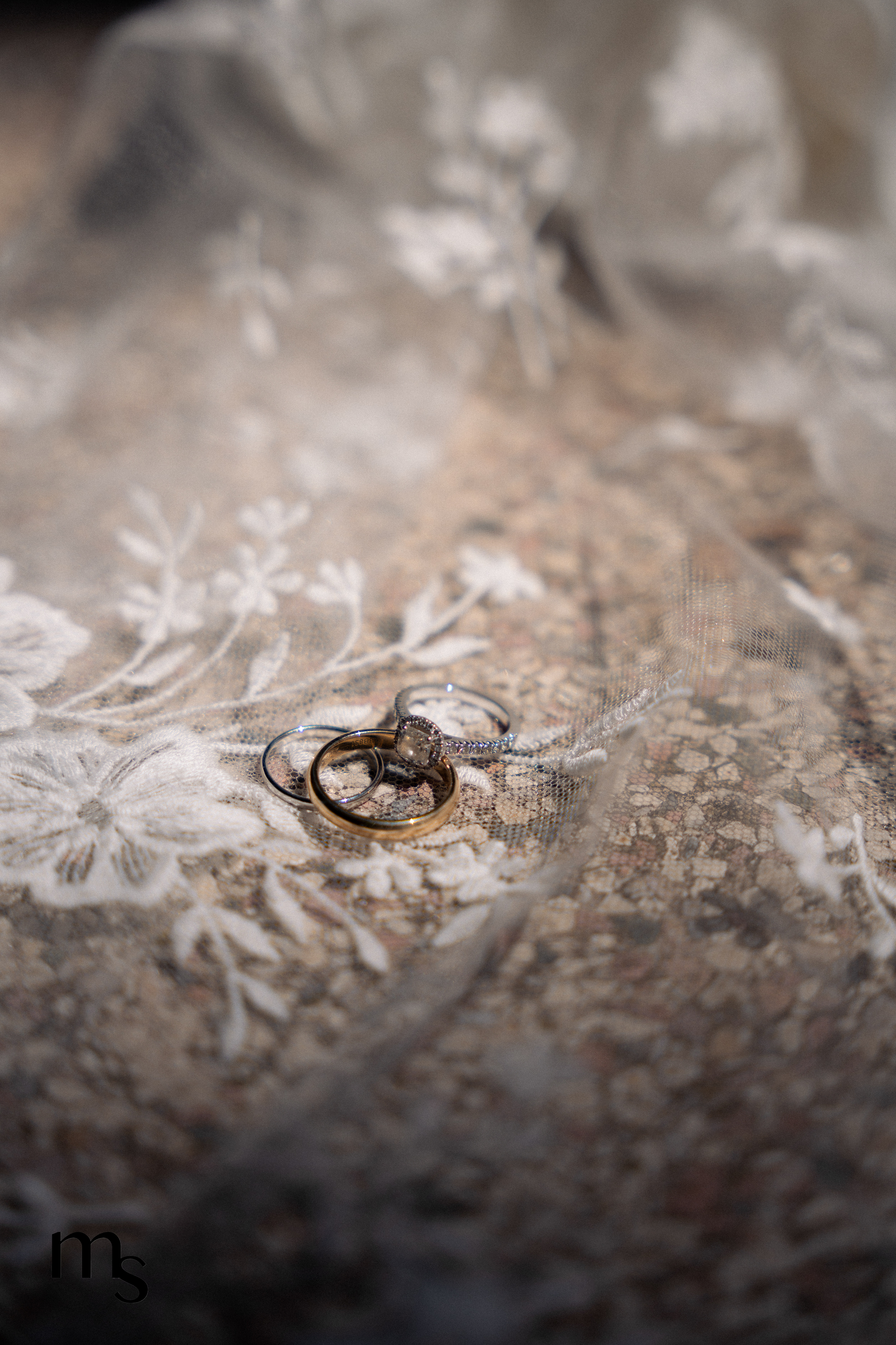 alliances des mariés, sur un voile de mariée, dans un domaine en Provence près d'Arles