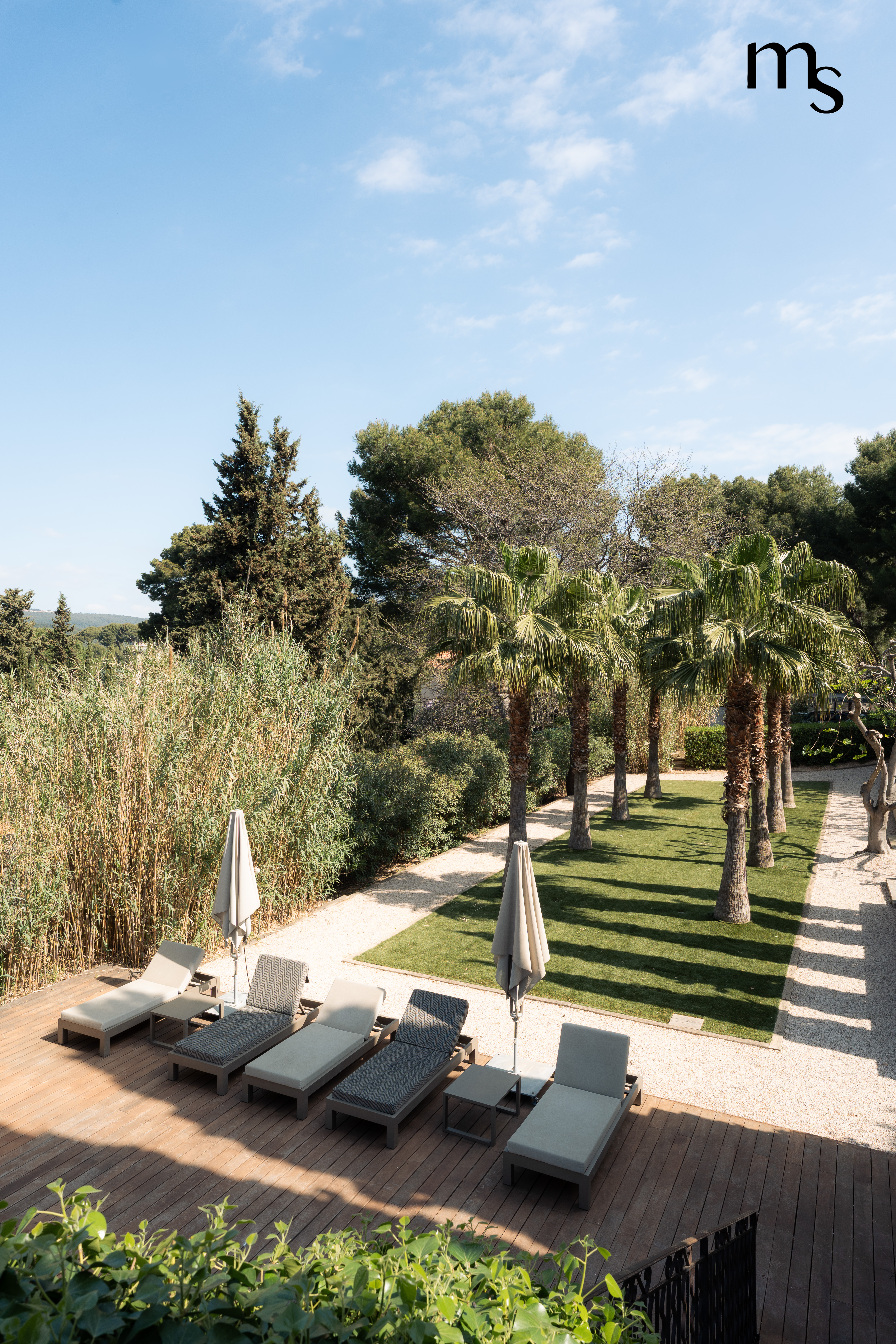palmerais du domaine de Canaille à Cassis pendant une réception de mariage
